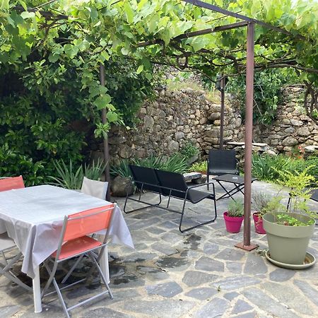 Maison Kyprea: Charmant Appartement /Duplex , Spacieux, Tout Confort Avec Terrasse Exterieure Privee, Parking Privatif , Vue Pittoresque Sur La Citadelle De Corte Et Les Montagnes. エクステリア 写真